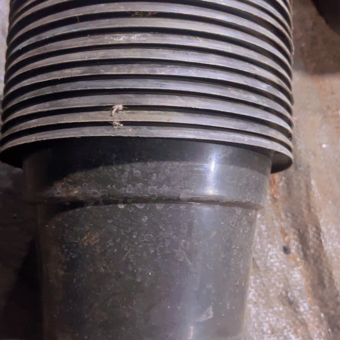 塑料黑圆盆18口径 10+2个发货