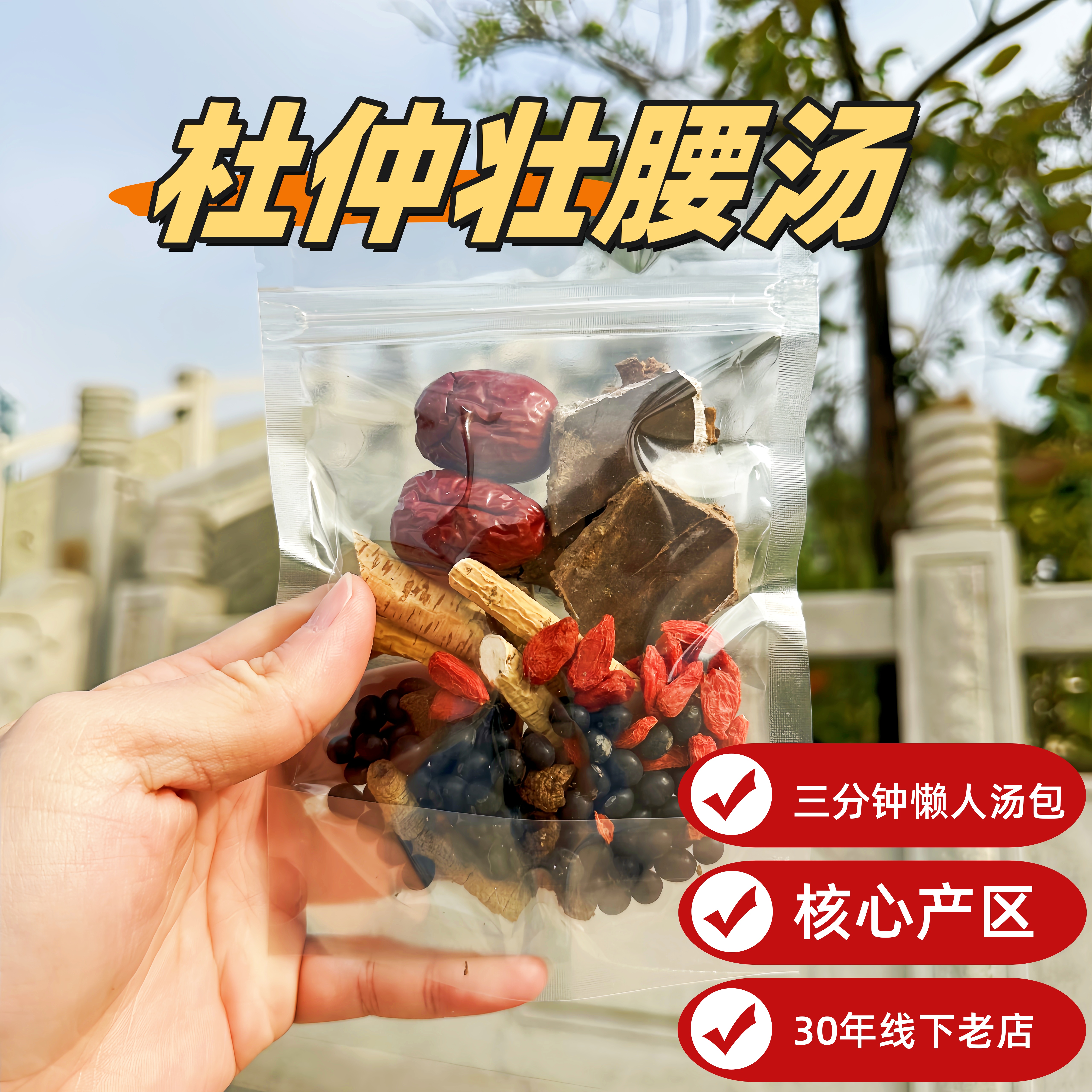 杜仲壮腰汤腰酸无力肾虚每天3分钟炖盅简单制作喝好汤妈妈的味道