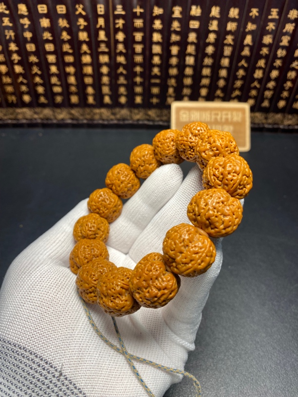 毕业菠萝蜜（9号）