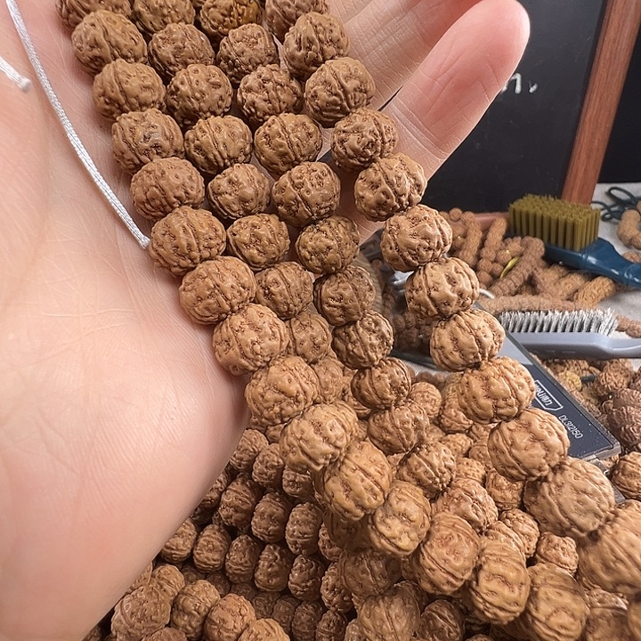 吊坠金刚菩提12m老树王非全品