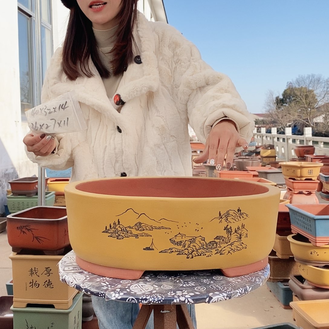 紫砂花盆紫砂花盆