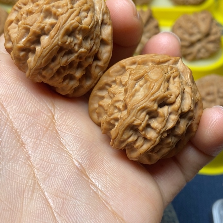 文玩核桃三角白37