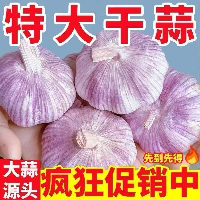正宗紫白皮干大蒜可腌制腊八蒜糖醋蒜新鲜蒜头