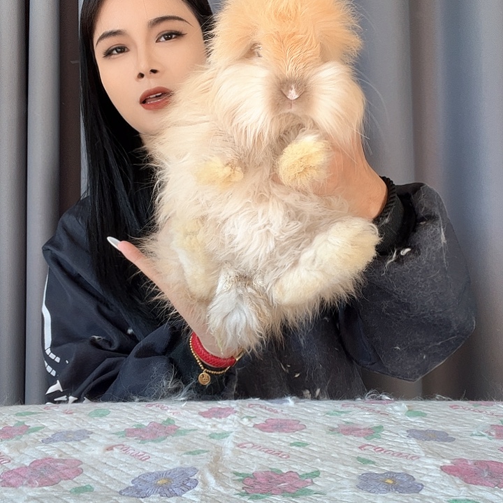 网红安哥拉兔福利妹妹