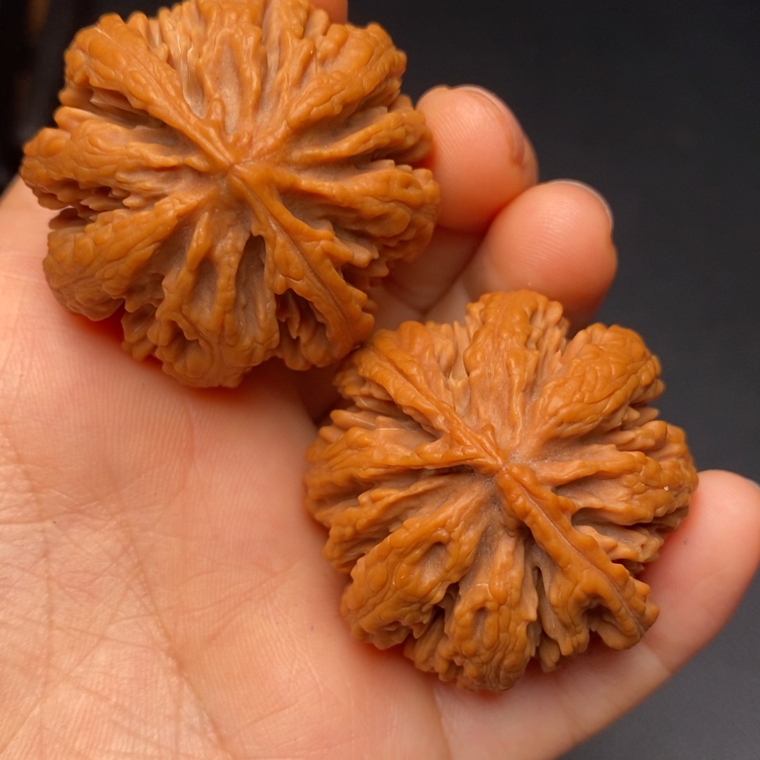 文玩核桃把件秦岭野生核桃