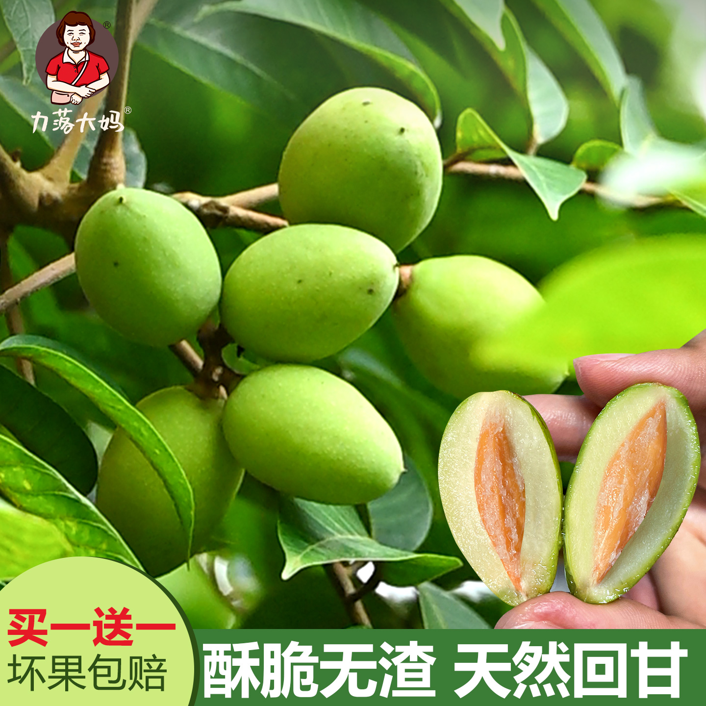 潮汕大妈正宗青枣橄榄新鲜现摘酥脆回甘生吃橄榄两斤商品图