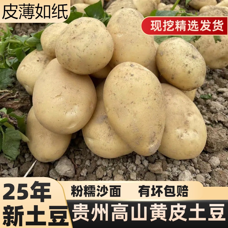 贵州黄心土豆黄皮黄心新鲜威宁洋芋新鲜马铃薯