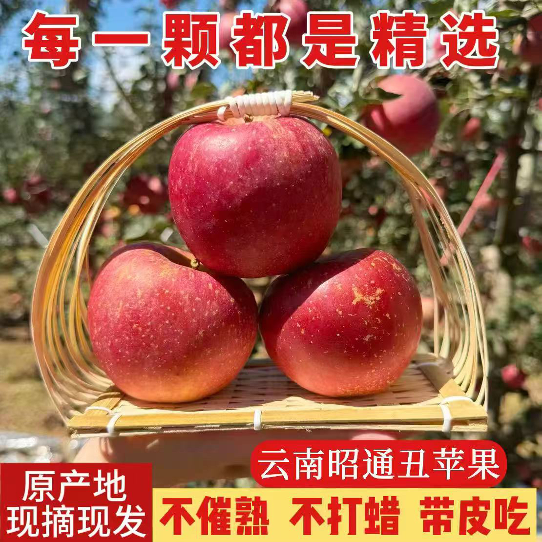 1云南新鲜昭通丑苹果脆甜多汁当季时令水果产地直发