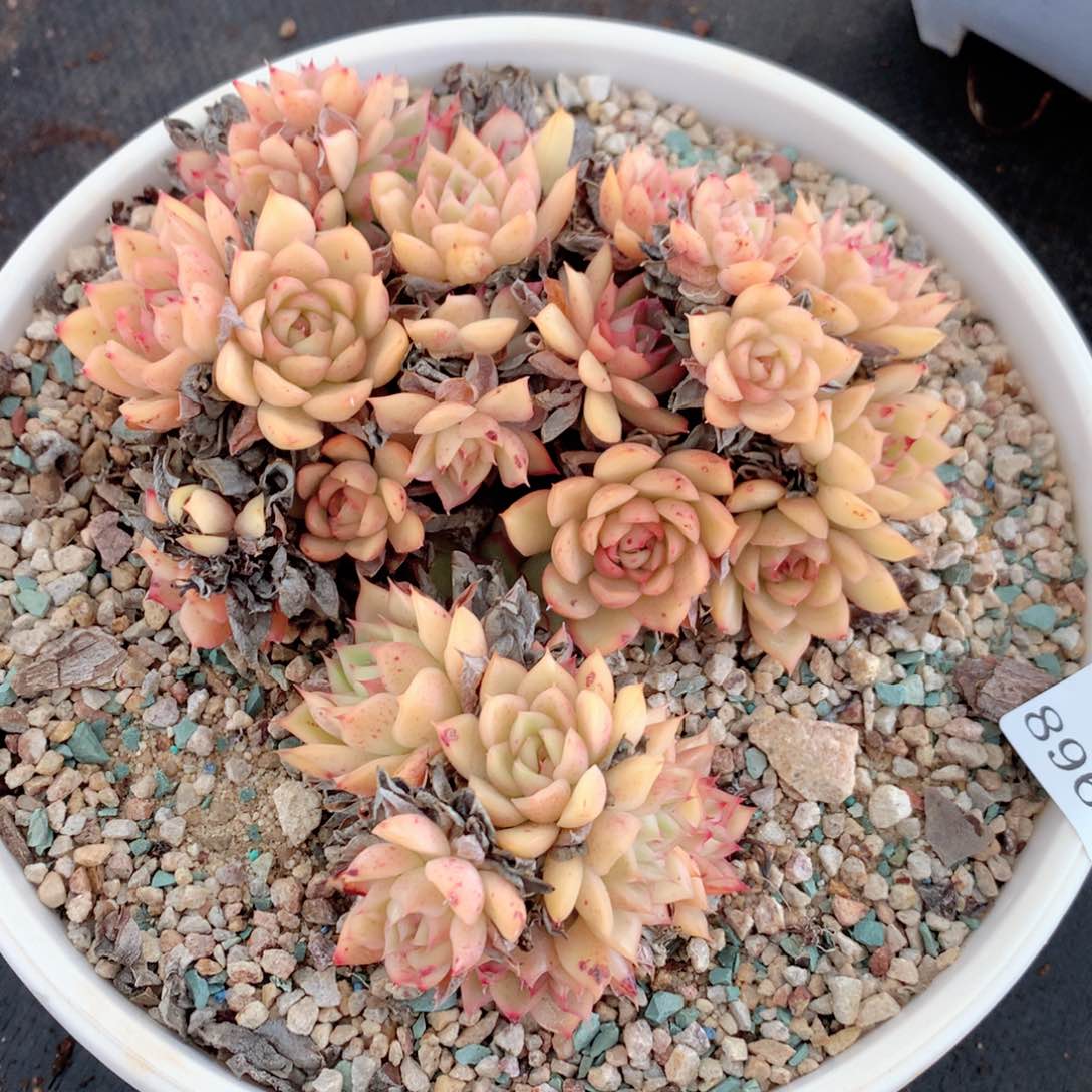 8960不包整散掉头特价处理