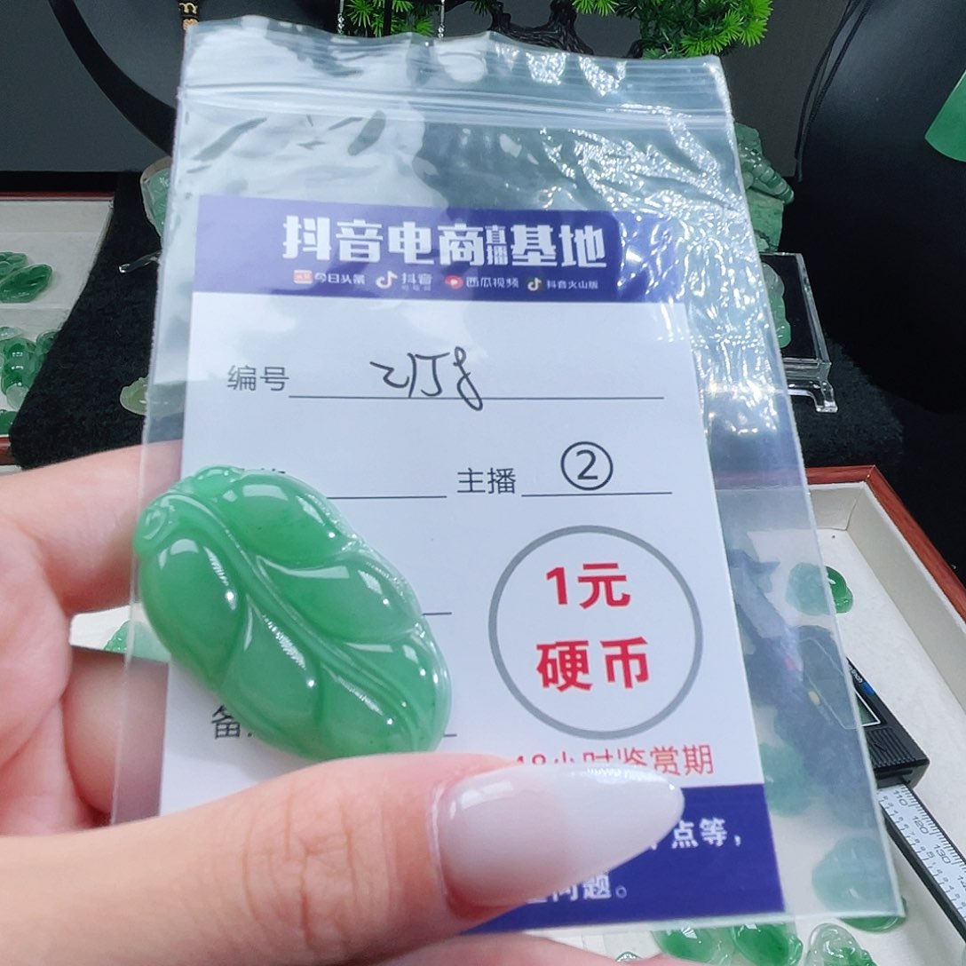 石英质玉未镶嵌颈饰