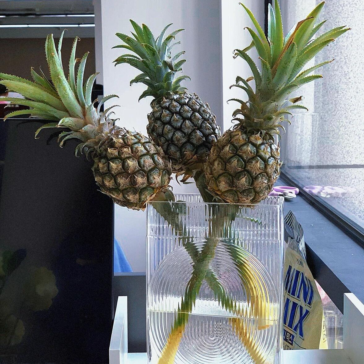 凤梨 花期长 一个 贵港可拍两小时内送达