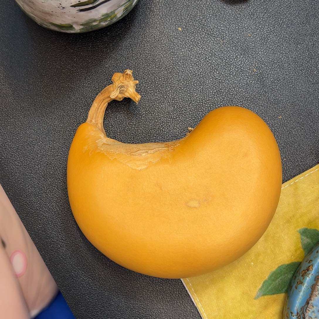 R***L腰子夹扁铁皮板正
