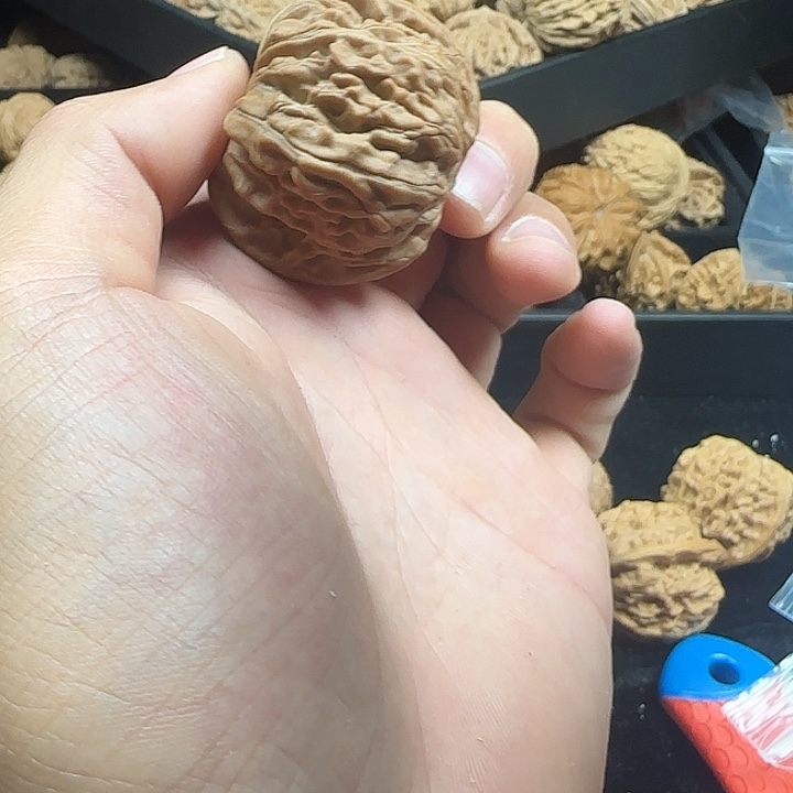 @***武吊坠龙脊菩提啊啊啊啊啊啊啊磨盘10