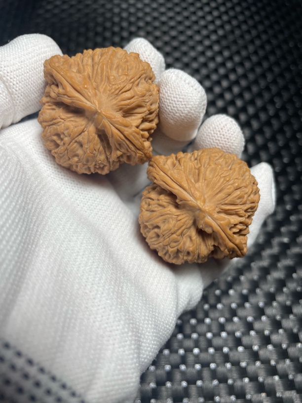 43南疆石狮子头文玩核桃姜黄皮南疆石推荐