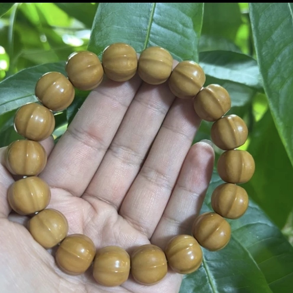大鲨鱼手串二等品（非全品介意慎拍）