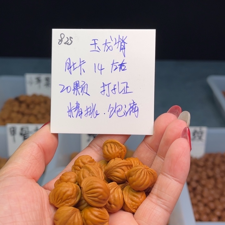 桃核手串玉龙脊14尺寸