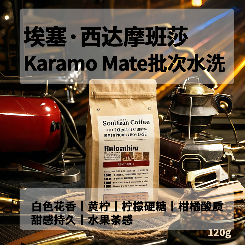 术也咖啡 埃塞·西达摩班莎·Karamo Mate水洗新鲜烘焙咖啡豆120克