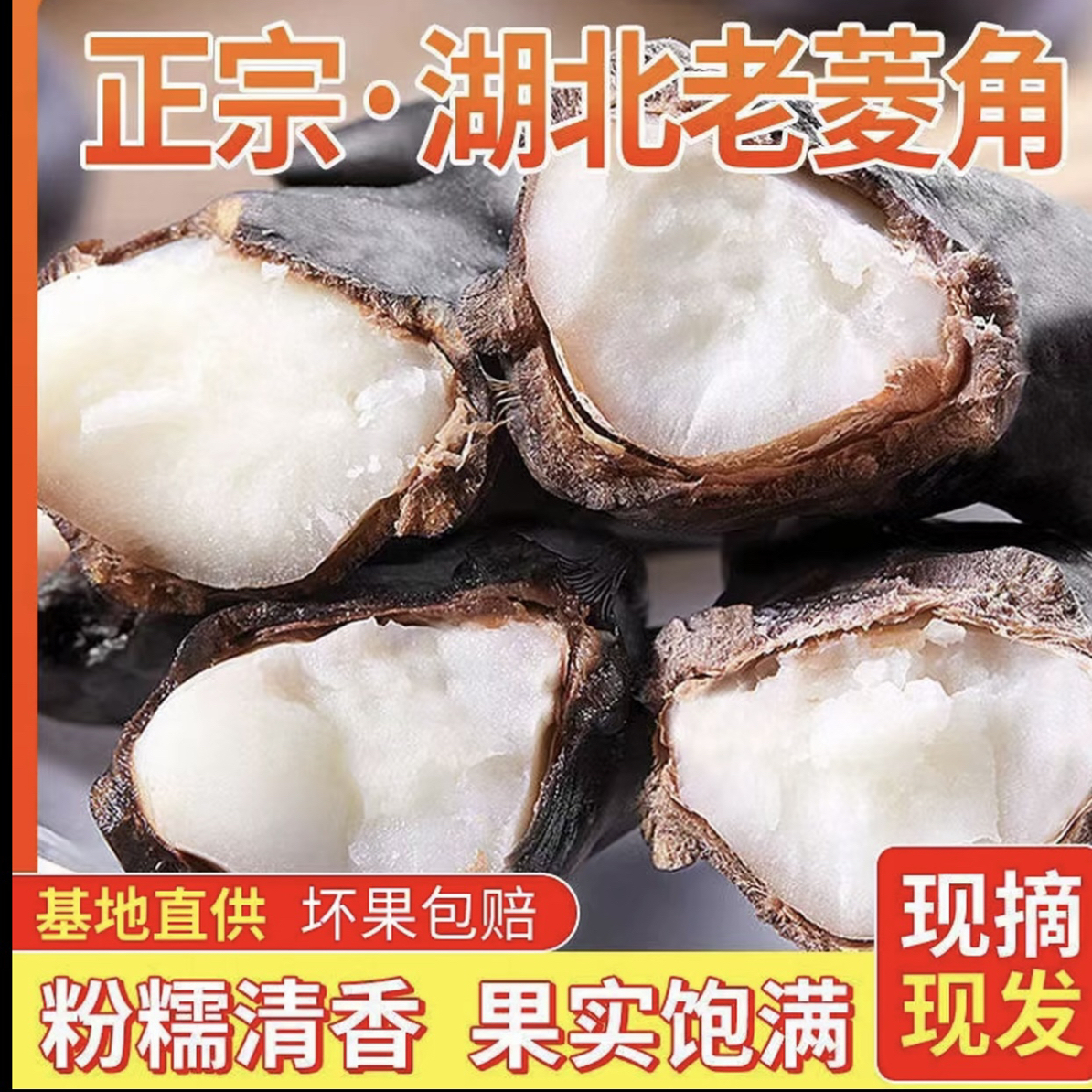 洪湖新鲜老菱角粉糯香甜湖北特产带壳现摘应季蔬菜