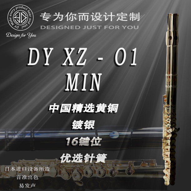 DY XZ01Min 长笛