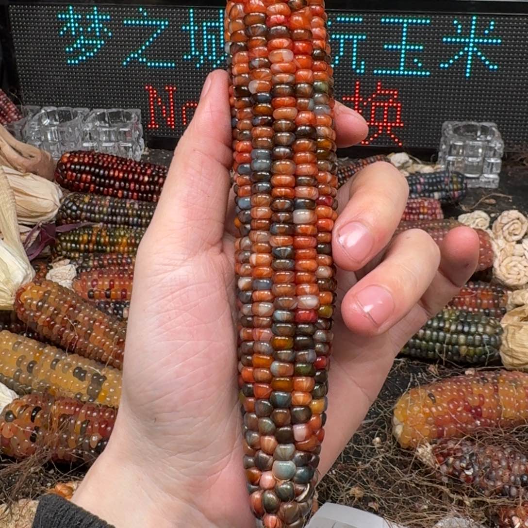 柏香籽/百香籽吊坠彼*