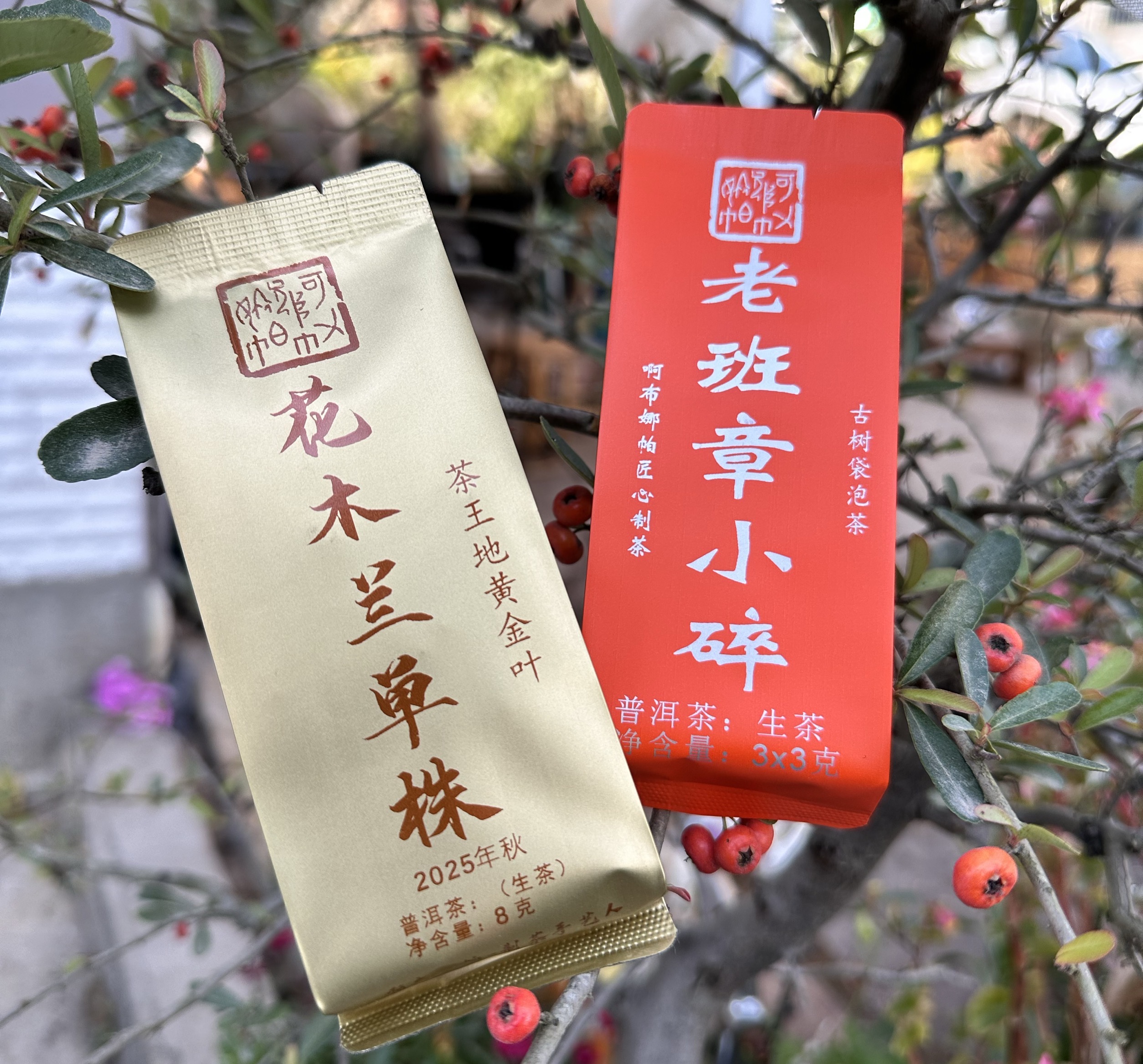 老班章小碎+花木兰单株