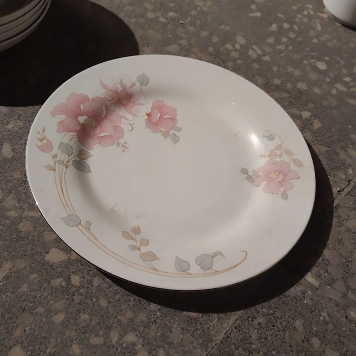 盘陶瓷盘子碗啥都有口径26公分