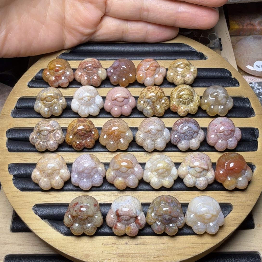 硅化玉未镶嵌抓钱爪，货头 挑60一个