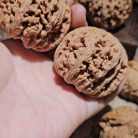 文玩核桃吊坠48粗筋