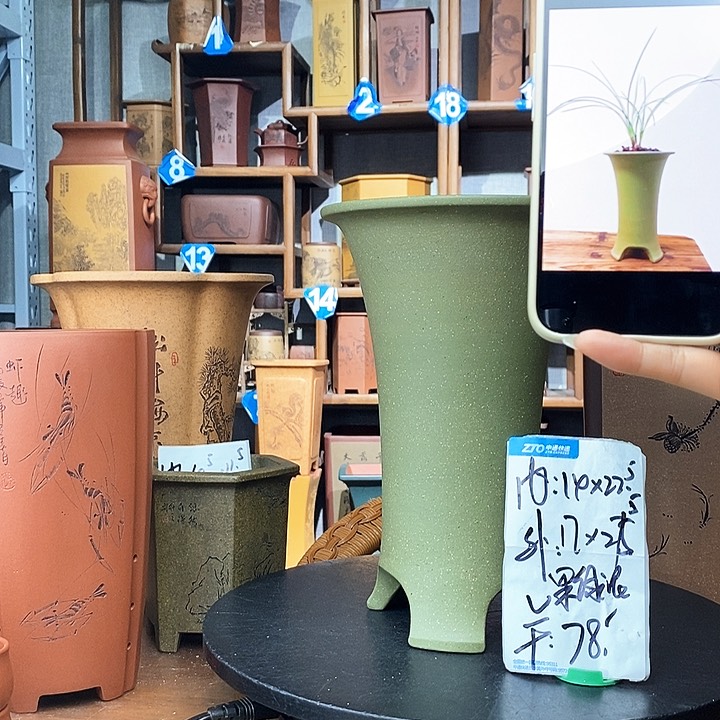 紫砂果绿泥爆款78