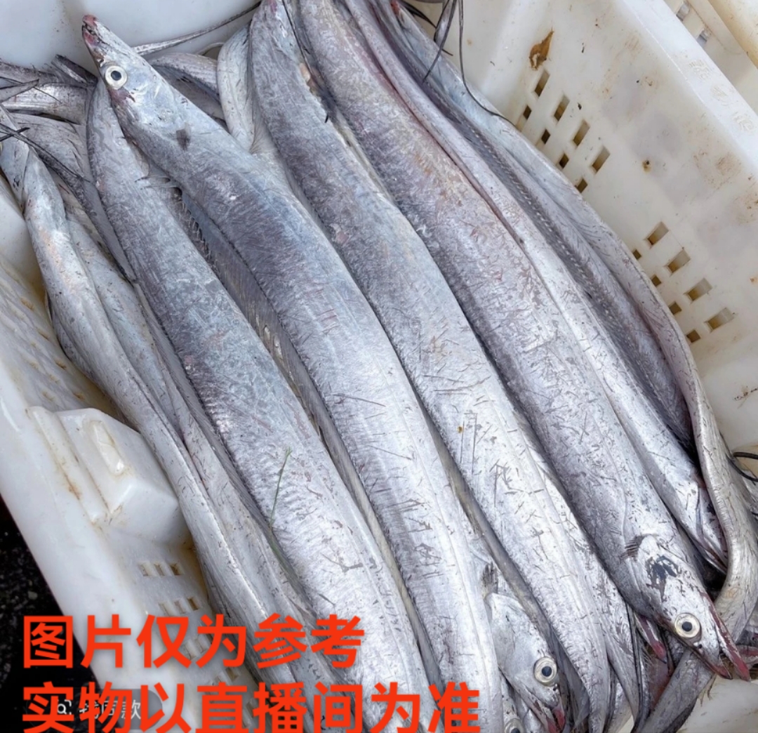 大连发货 野生刀鱼（顺丰包邮）