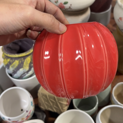 ［所有订单凑满15包邮］