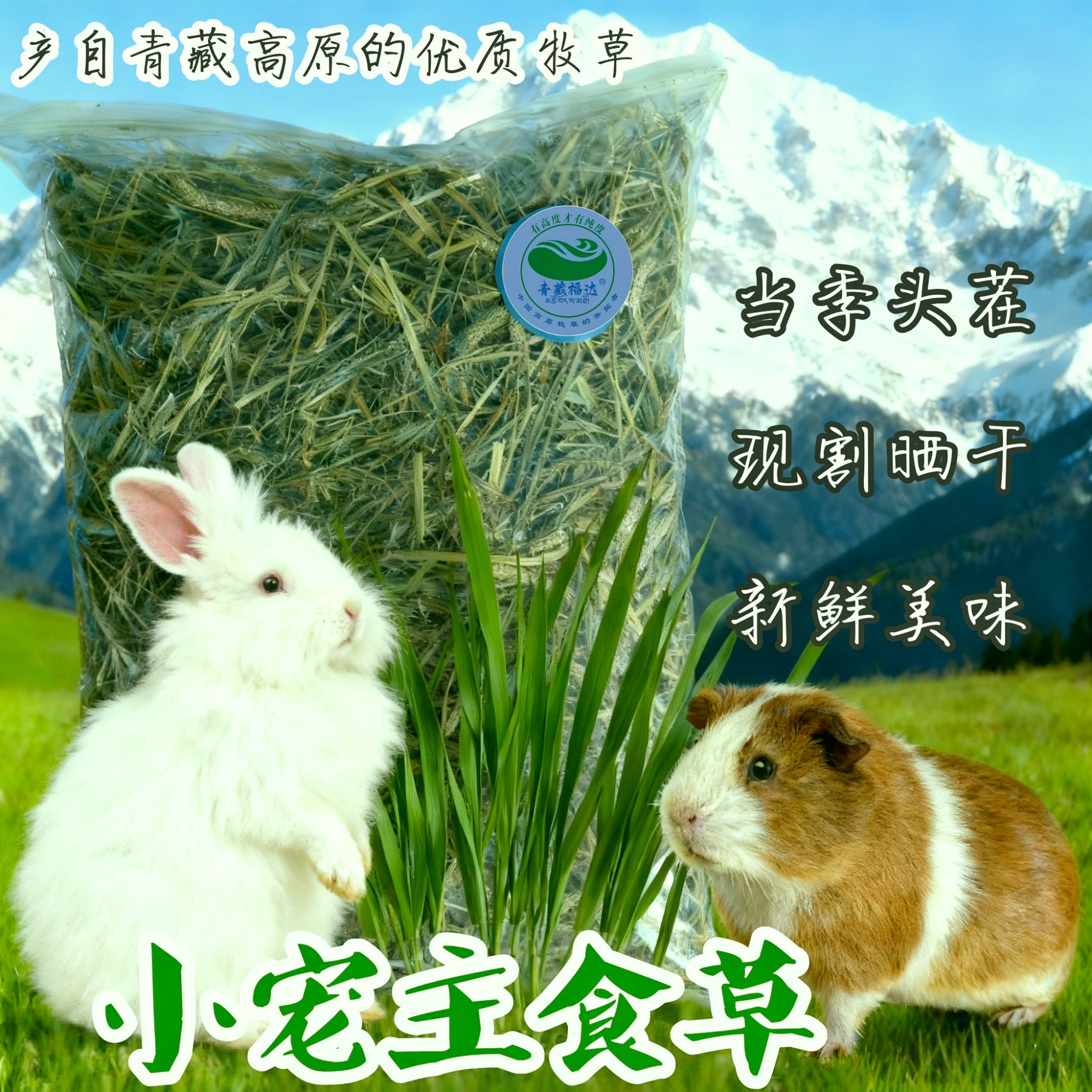 自然晒干当季头茬提摩西草