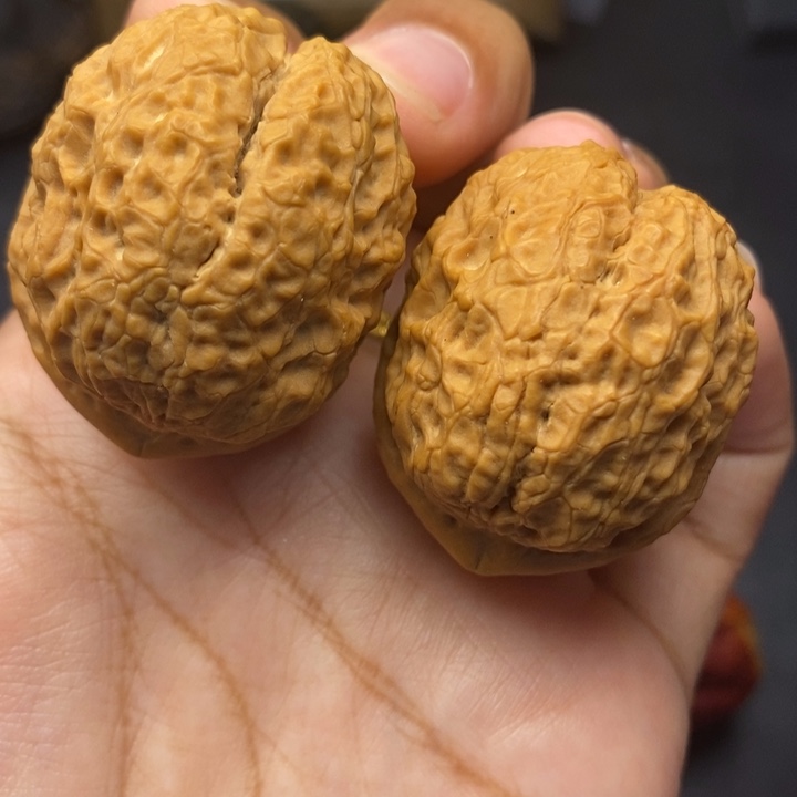 把件文玩核桃40尺金蟒元宝