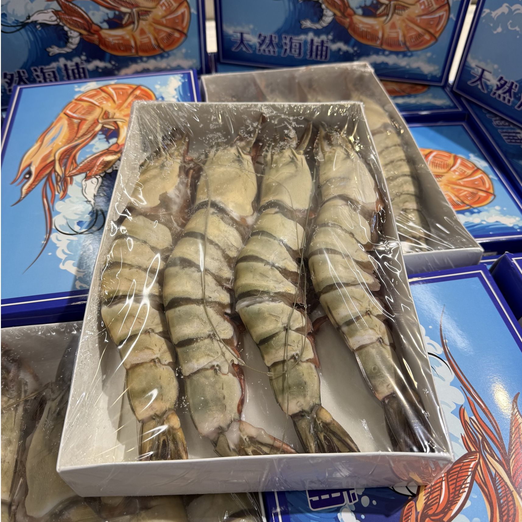 【天然海捕深海野生大竹节虾】过新年来新货 深海野生大虾鲜活船冻