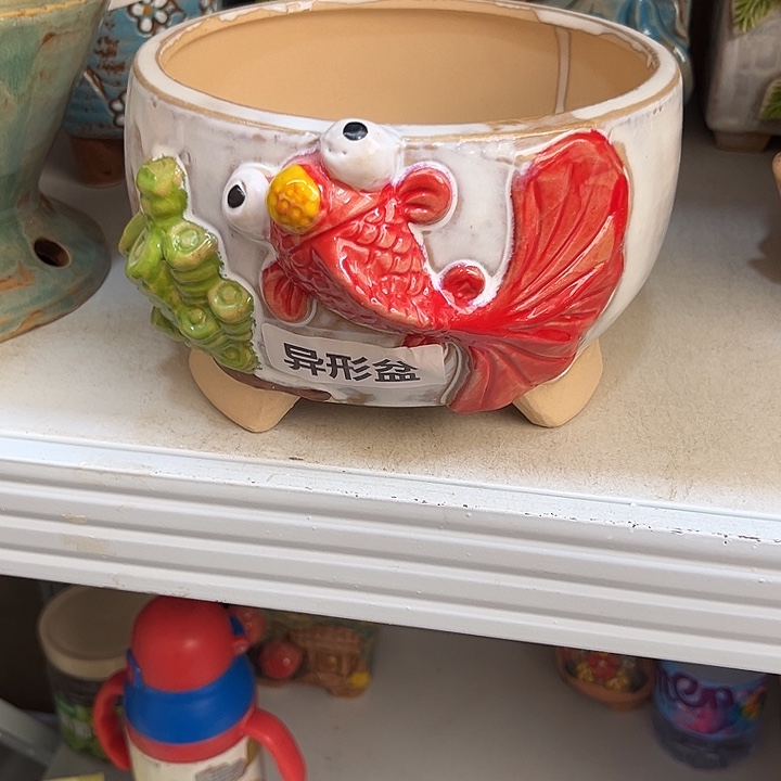 粗陶材质多肉花盆