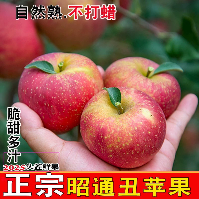 云南昭通2025新鲜高原苹果现摘5到10斤包邮孕妇当季整箱脆甜