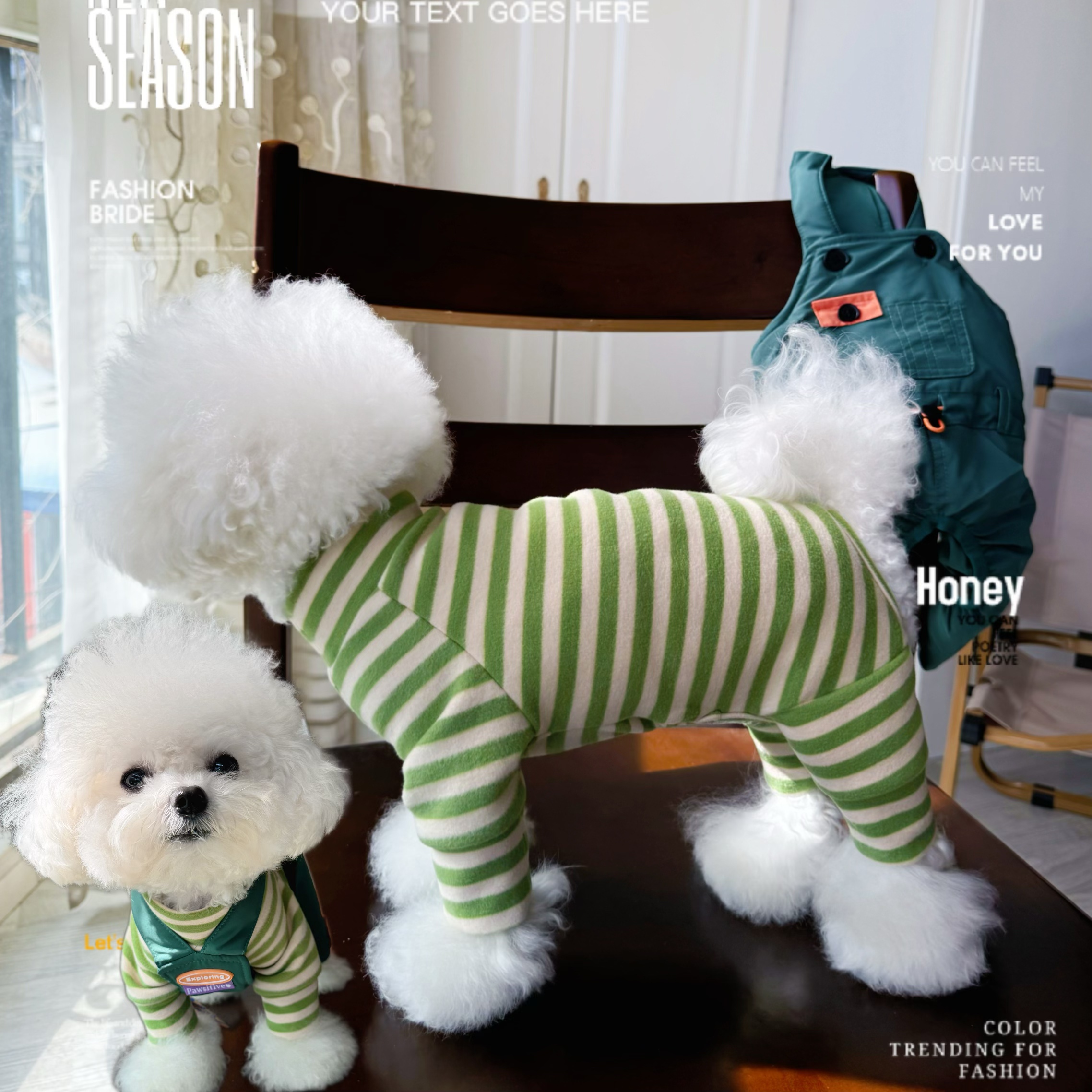 新款泰迪比熊小狗狗雪拉瑞秋冬四脚打底衫睡衣居家服