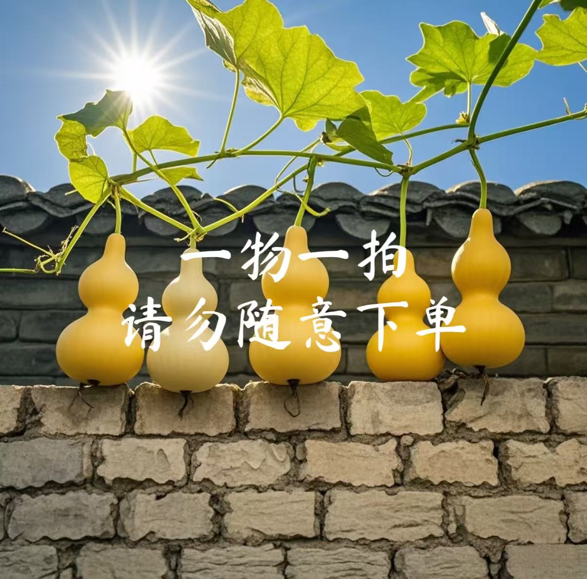 一物一拍精品天然葫芦手把件可盘可玩文玩葫芦