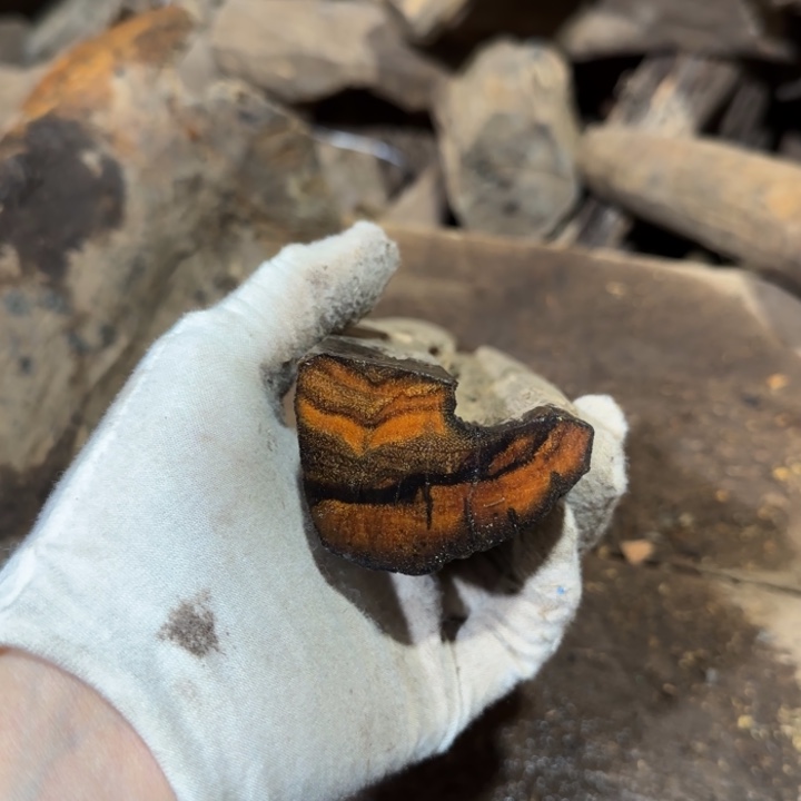 兄***弟贡木其他定制不退不换