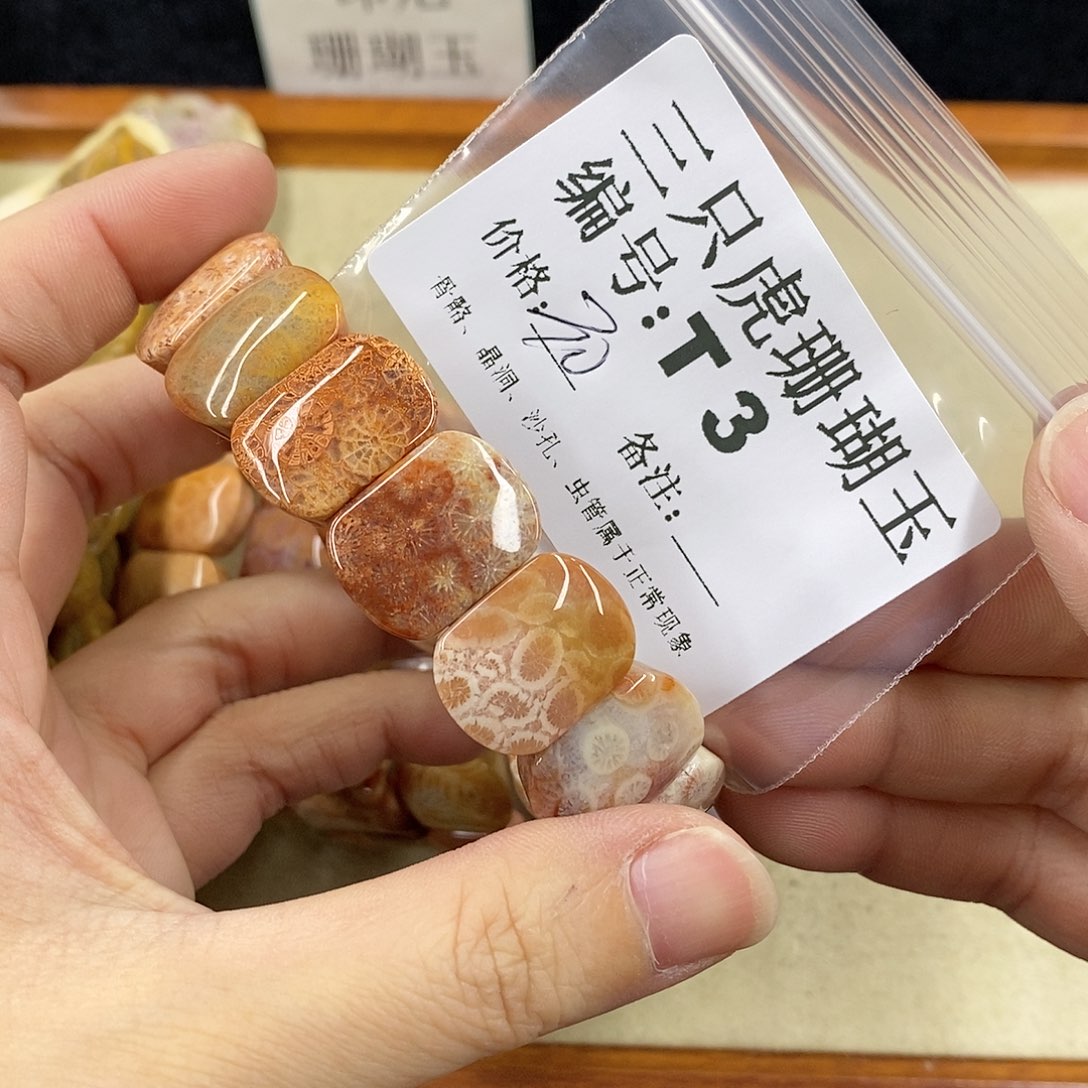 硅化珊瑚（珊瑚玉）1未镶嵌庄***水