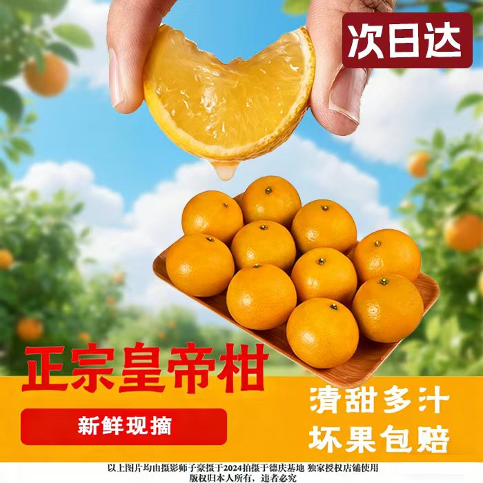 M【京东次日达】正宗皇帝柑新鲜现摘皮薄肉厚多汁当季水果广东省