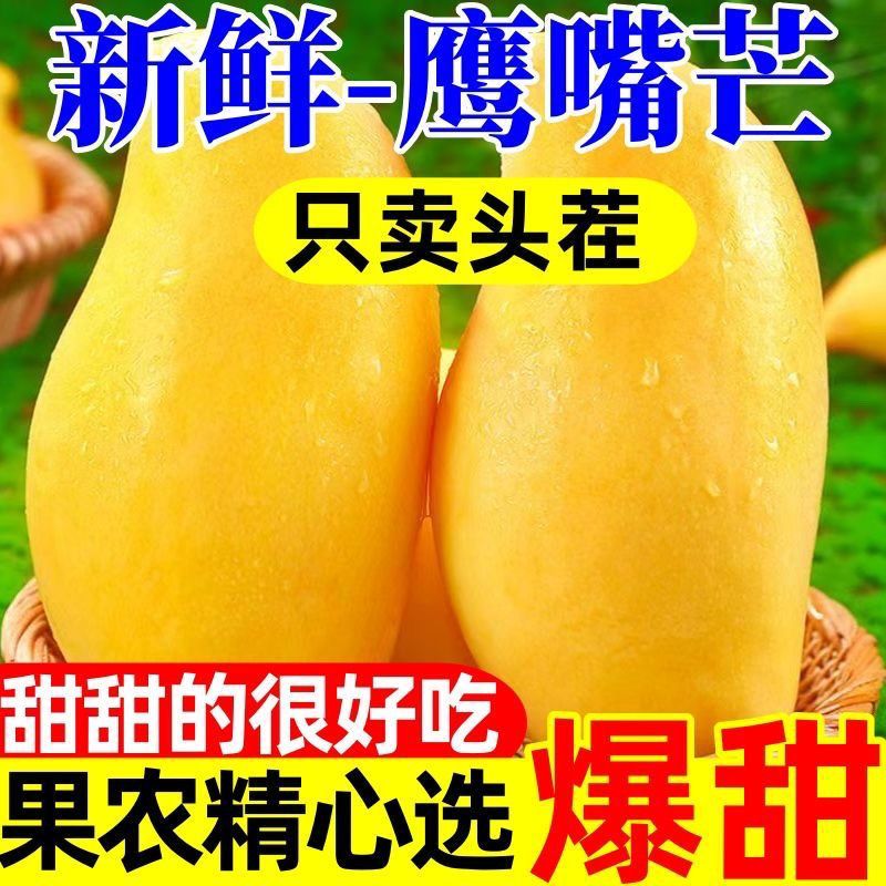 【产地现摘】云南鹰嘴芒果新鲜现摘应季当季水果芒果整箱芒果批发