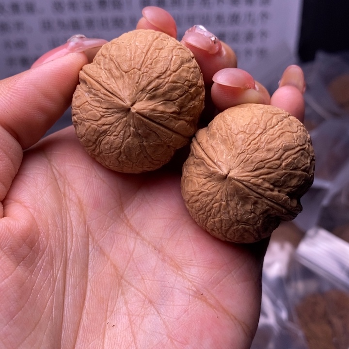 核桃云南野生铁核桃10号35