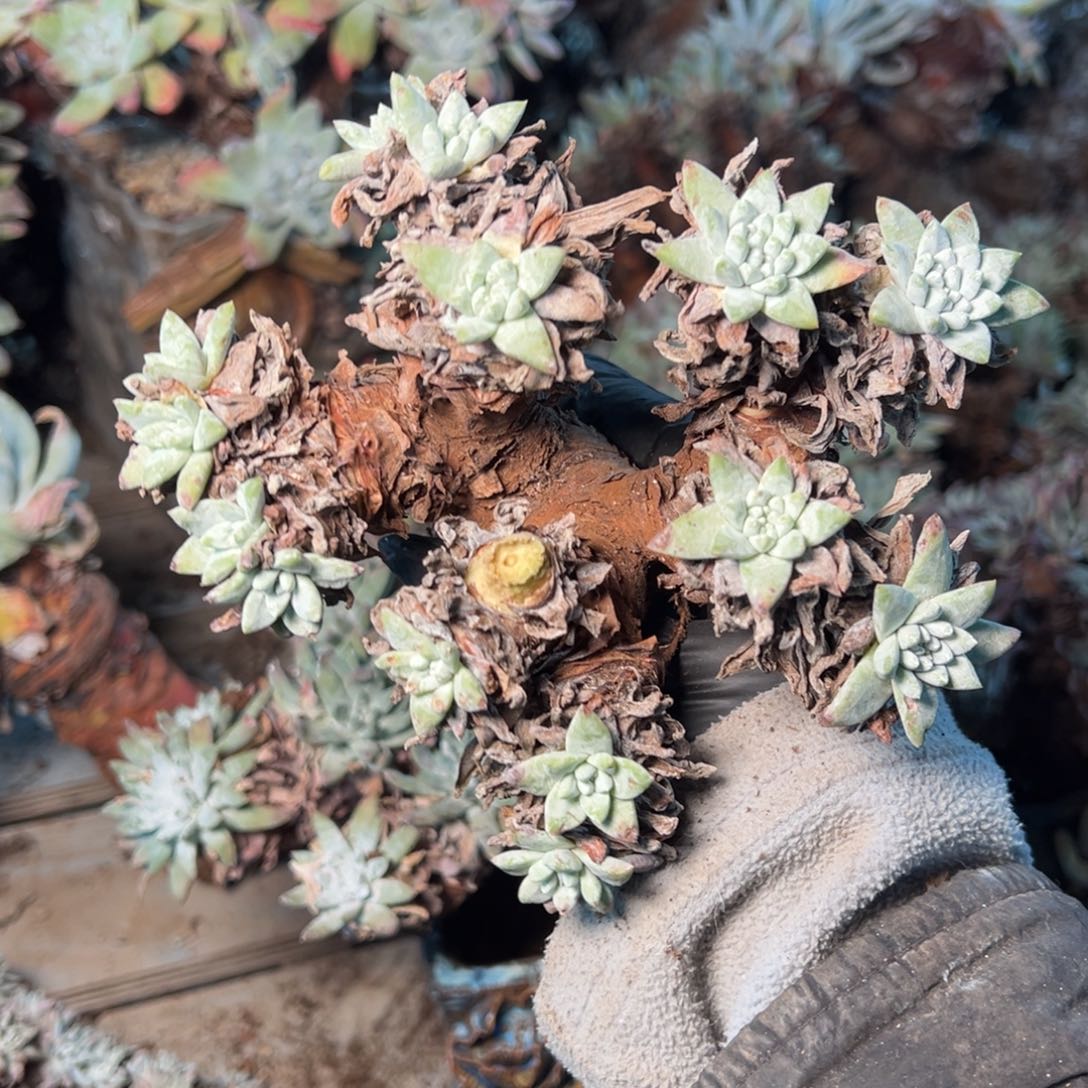 8344哈哈哈哈哈哈哈哈哈