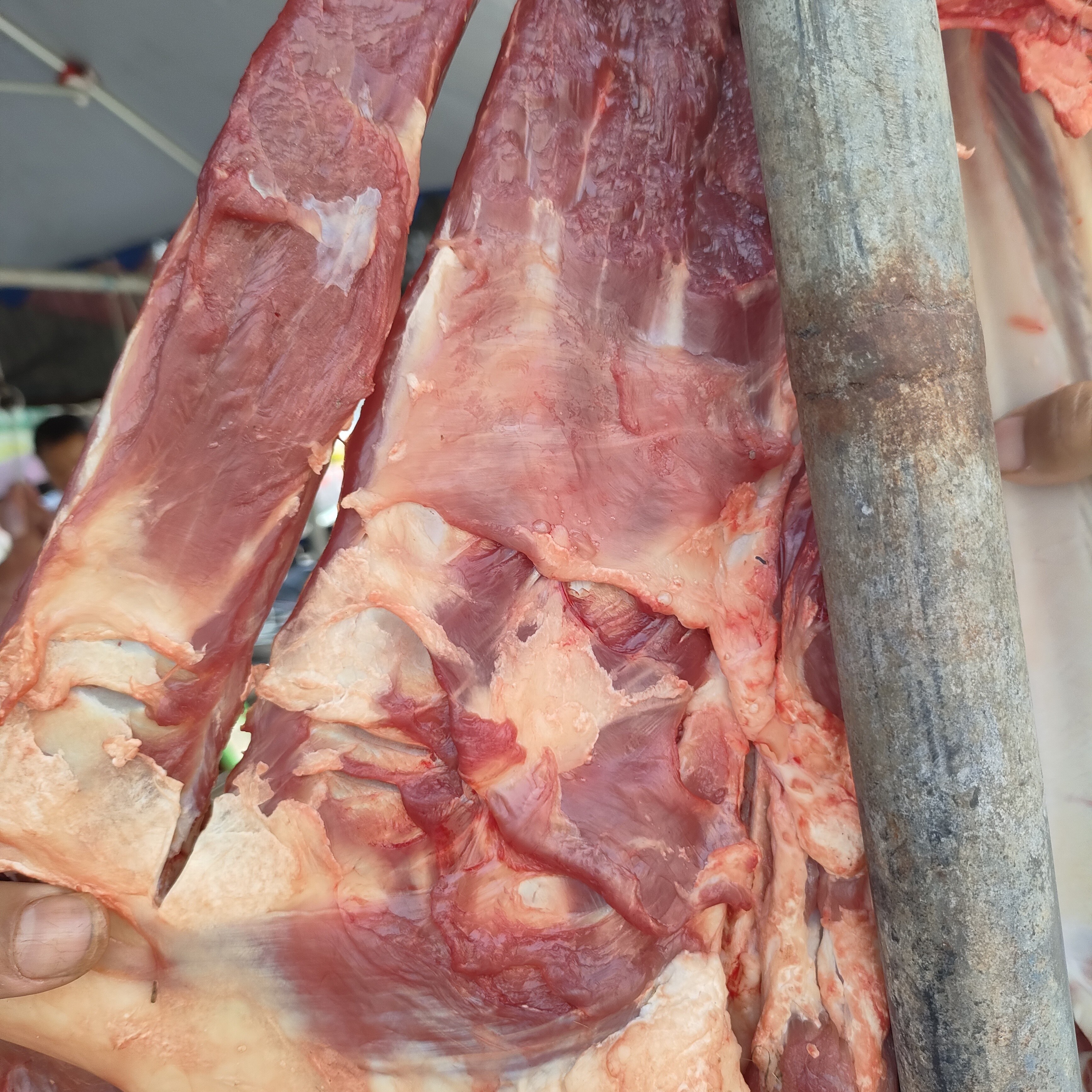 牛肉各部位全国包邮顺丰中通发货