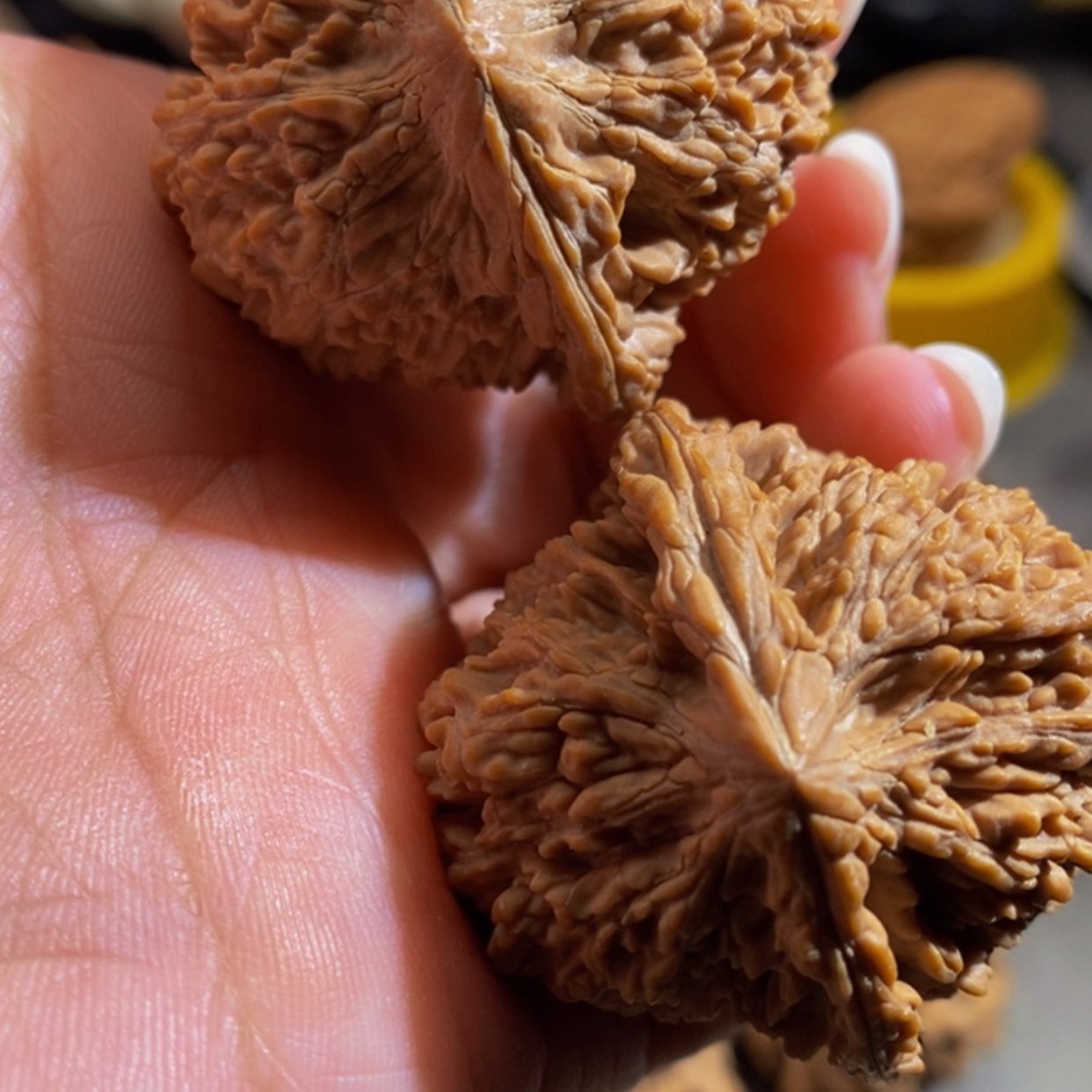 【闪购商品】吊坠文玩核桃瑙*谷满天星