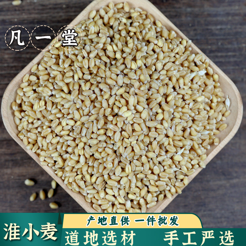 淮小麦 淮小麦 淮麦 淮小麦