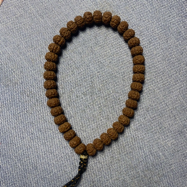 体验款勿里达纯血老树王