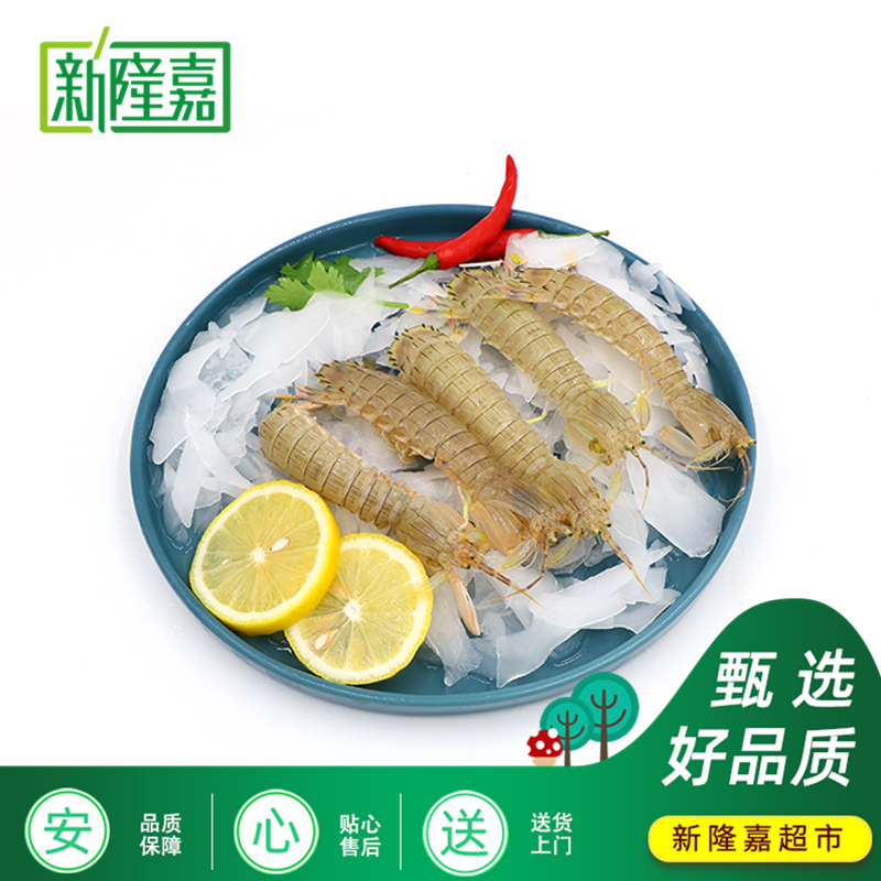 【天丰店 新】鲜活虾爬子皮皮虾500g/1kg/1.5kg /2.5kg（保鲜不保活）