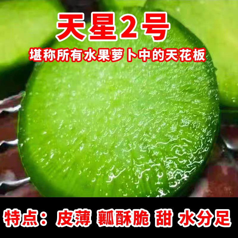 【绿优农场】天星2号水果萝卜 现拔现发 京东顺丰送货上门